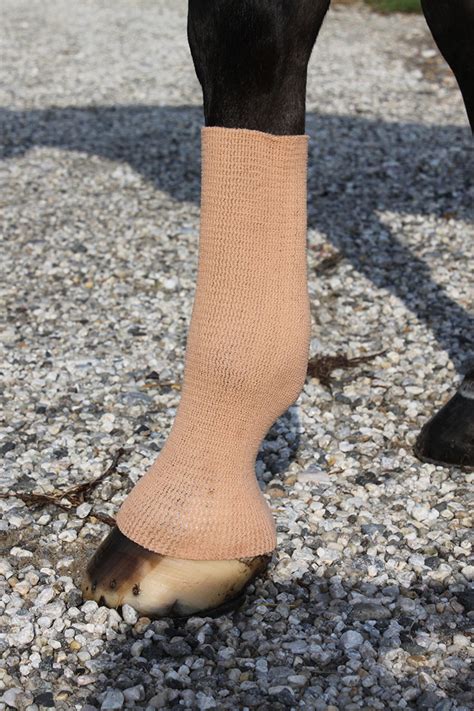 Equifit Gel Sox .